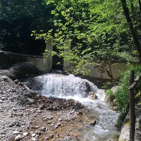 Donna Rachele אג'רולה