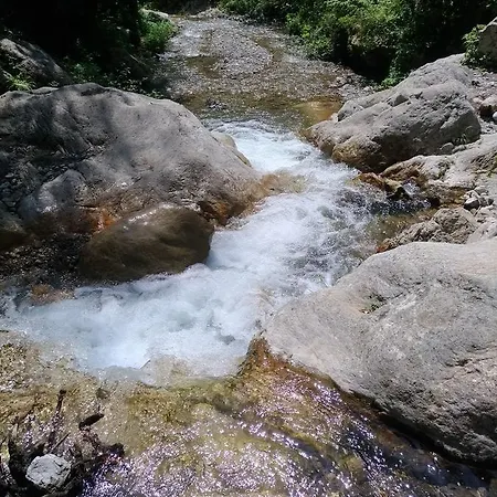 לינה וארוחת בוקר Donna Rachele 4*