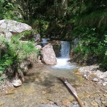 לינה וארוחת בוקר Donna Rachele